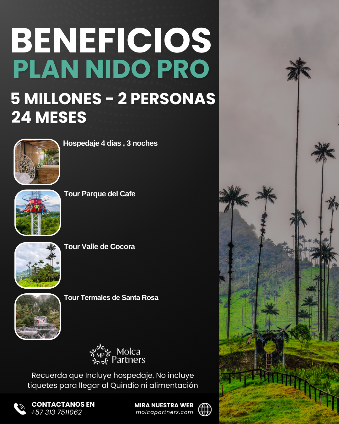 Plan nido PRO - Image 5