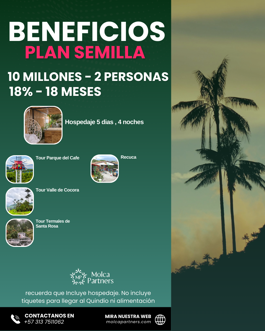 Plan Semilla 24 hr - Image 4