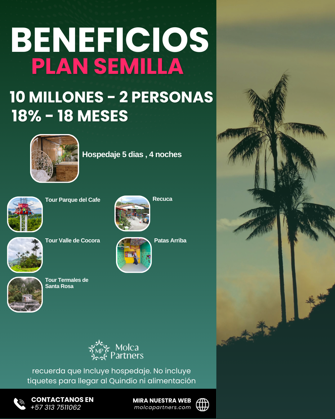 Plan Semilla 24 hr - Image 5