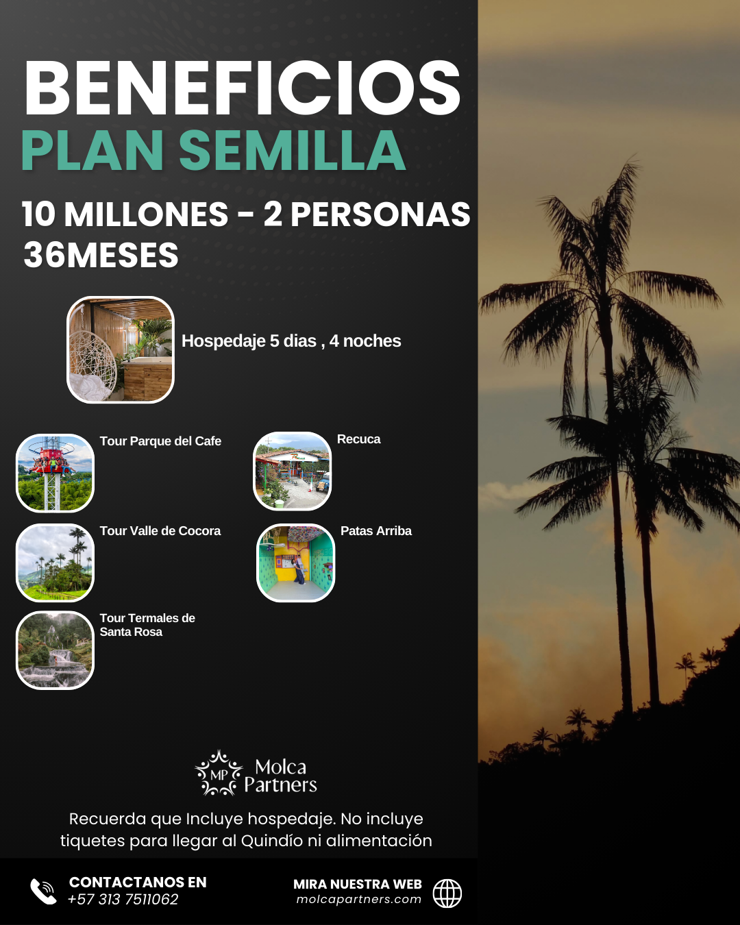 Plan Semilla - Image 4