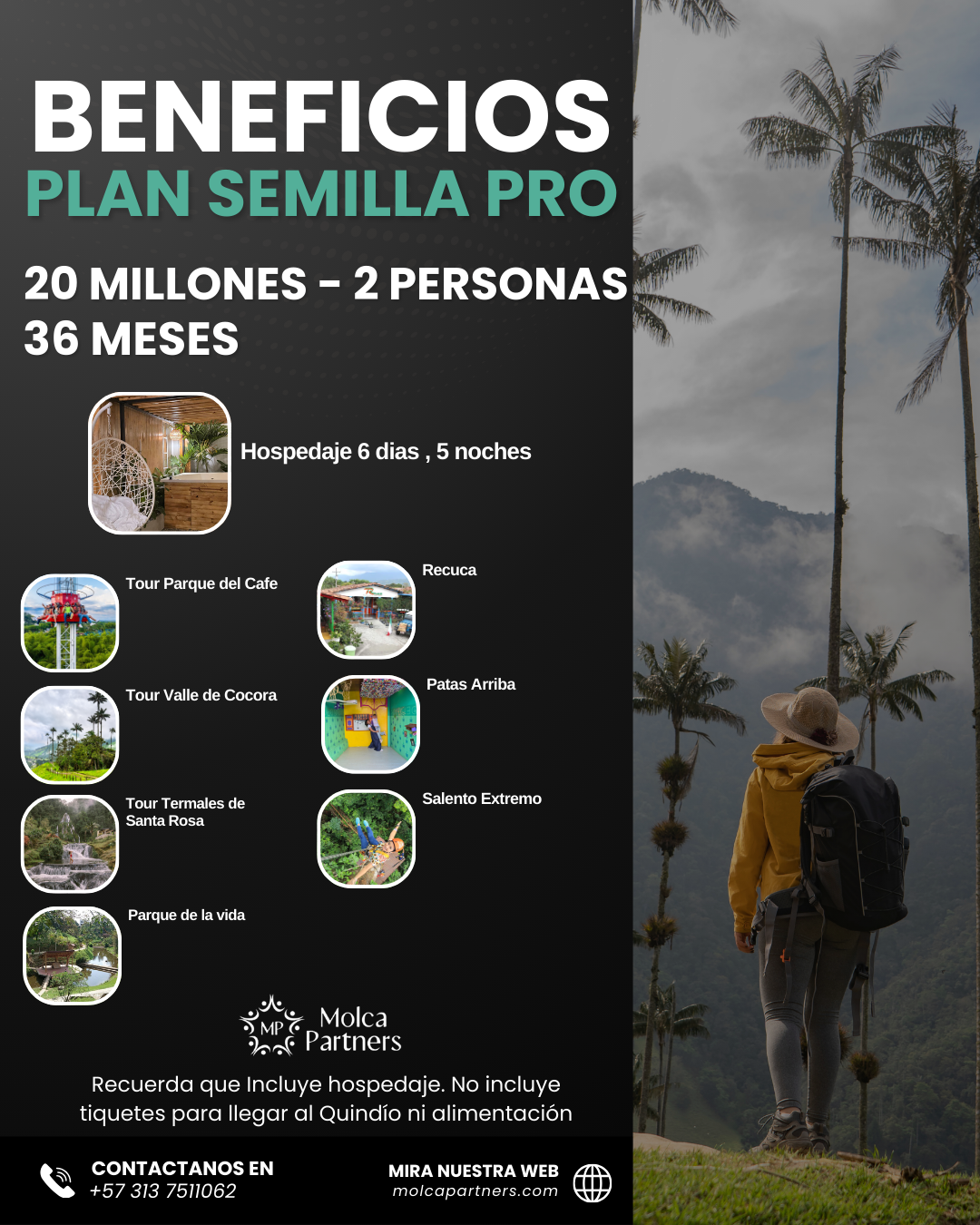 Plan Semilla PRO - Image 5