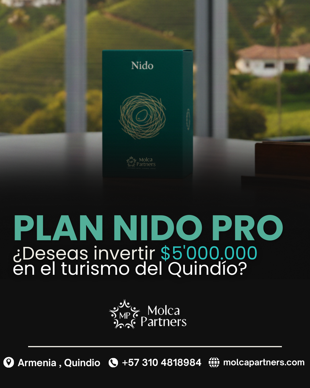 Plan nido PRO - Image 2