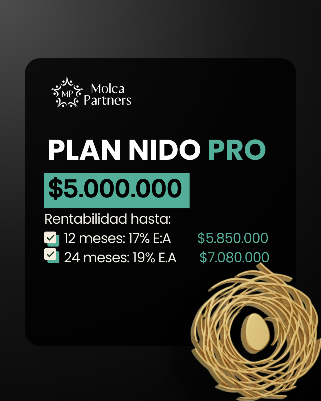 Plan nido PRO - Image 3