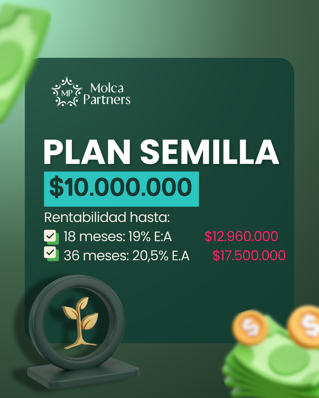 Plan Semilla 24 hr - Image 3